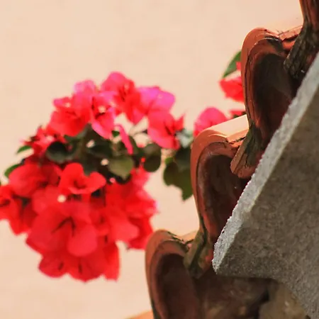Apartman Banovac Dubrovnik
